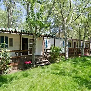 Thalatta Kalamitsi Village Camp 2*, Χαλκιδική Ελλάδα